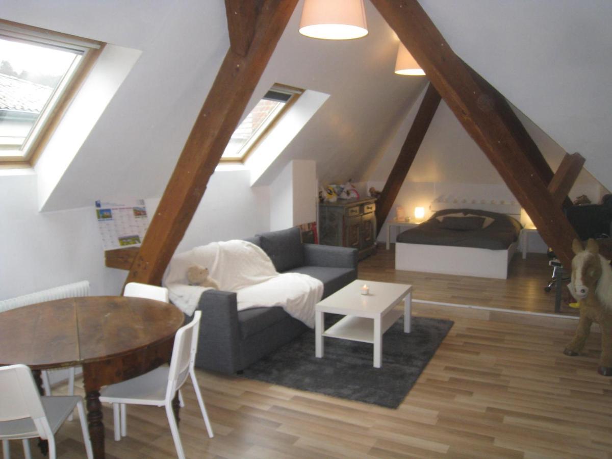 Chambres Privatives Chez L'Habitant Guebwiller Εξωτερικό φωτογραφία