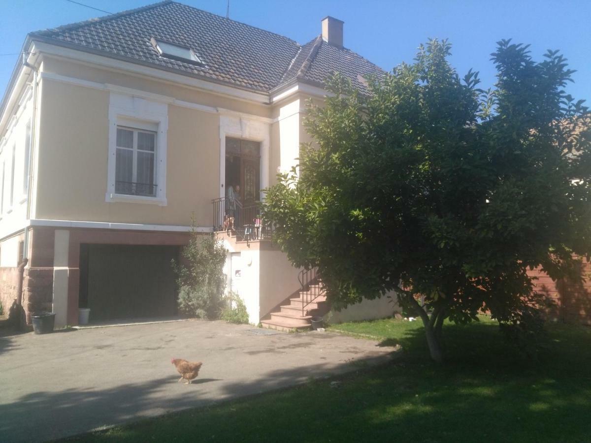 Chambres Privatives Chez L'Habitant Guebwiller Εξωτερικό φωτογραφία