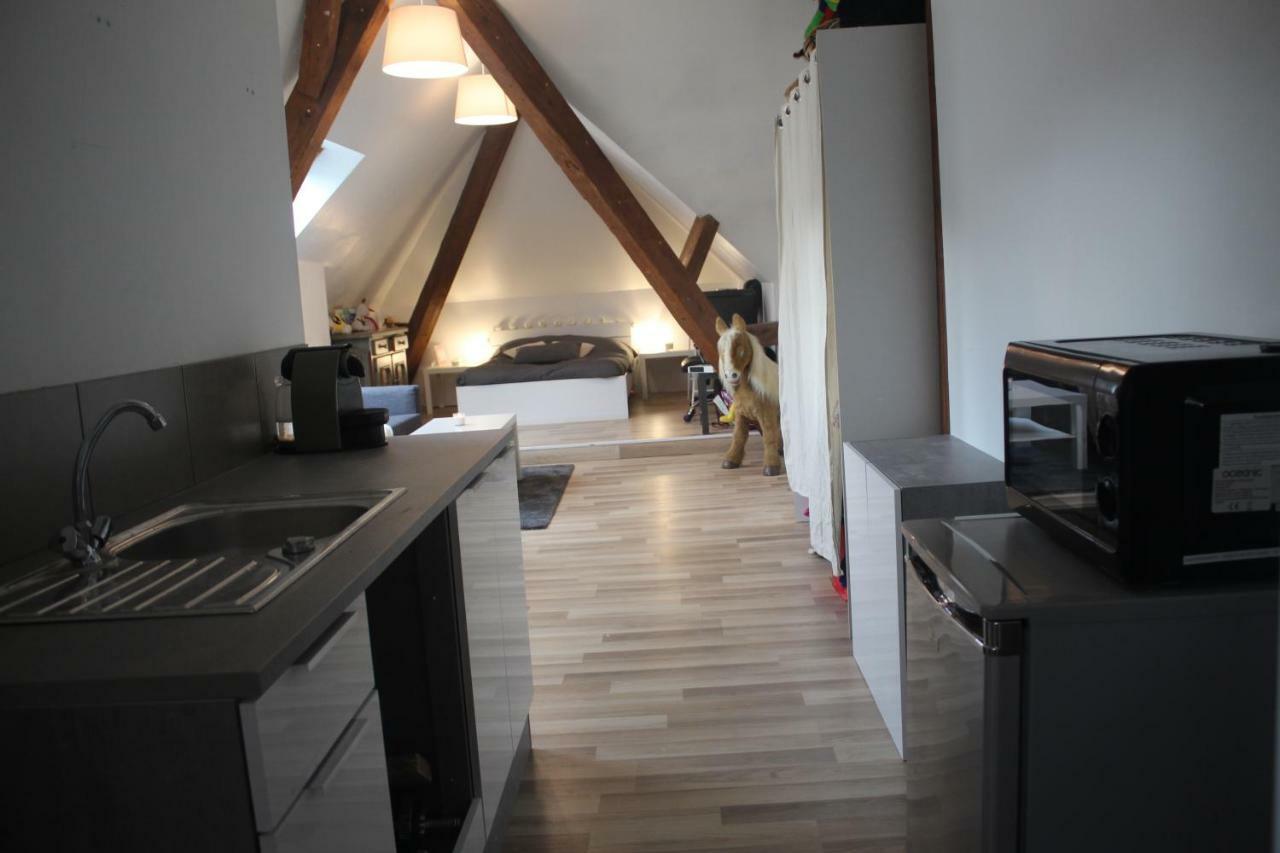 Chambres Privatives Chez L'Habitant Guebwiller Εξωτερικό φωτογραφία