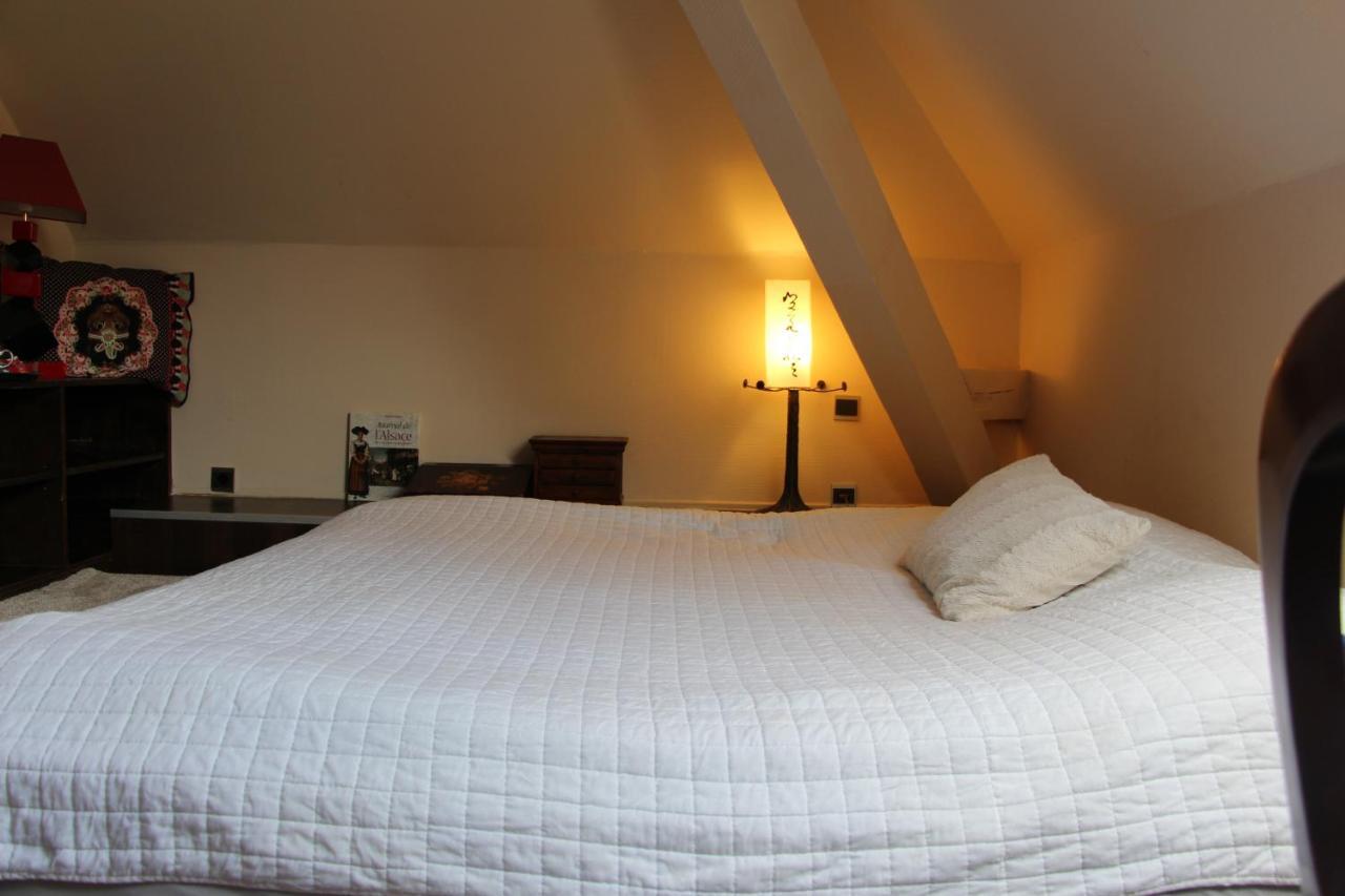 Chambres Privatives Chez L'Habitant Guebwiller Εξωτερικό φωτογραφία